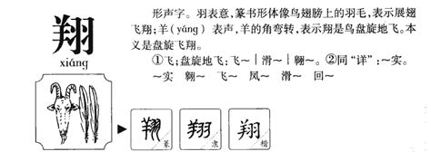 翔的五行|翔字的五行属性